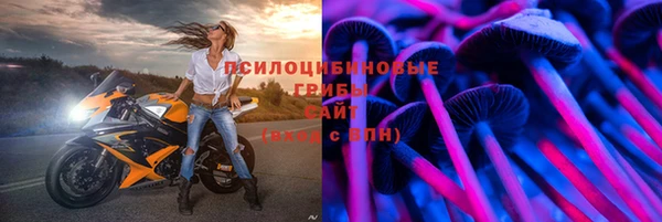 прущие крисы Алзамай