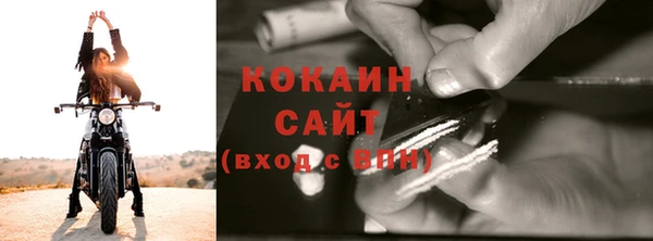 прущие крисы Алзамай