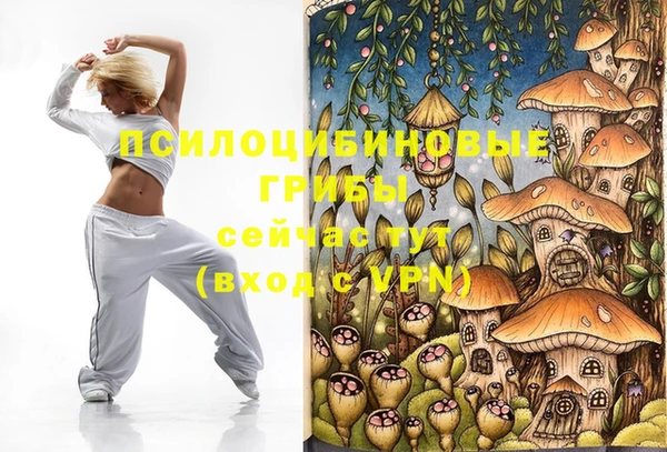 прущие крисы Алзамай