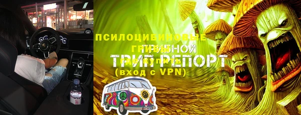 дживик Алексеевка