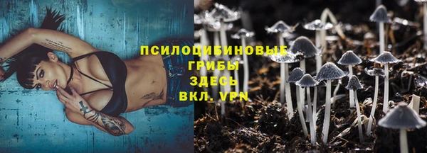 прущие крисы Алзамай